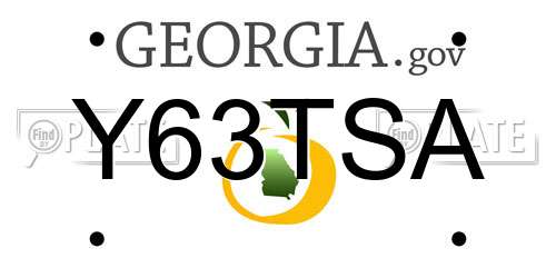 Y63TSA Georgia License Plate