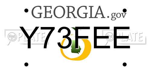 Y73FEE Georgia License Plate