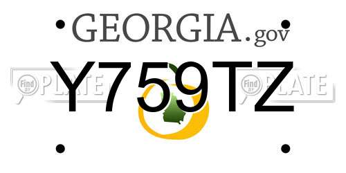 Y759TZ Georgia License Plate
