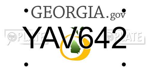 YAV642 Georgia License Plate