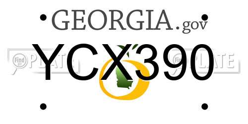 YCX390 Georgia License Plate