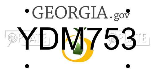 YDM753 Georgia License Plate