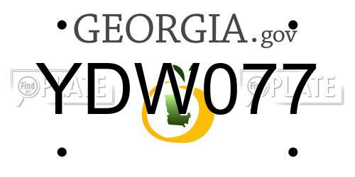 YDW077 Georgia License Plate