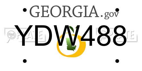 YDW488 Georgia License Plate