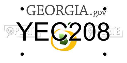 YEC208 Georgia License Plate