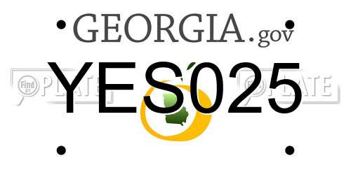 YES025 Georgia License Plate
