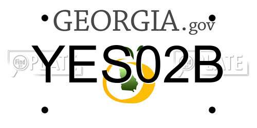 YES02B Georgia License Plate