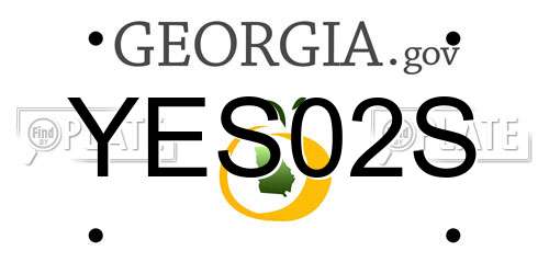 YES02S Georgia License Plate