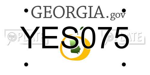 YES075 Georgia License Plate