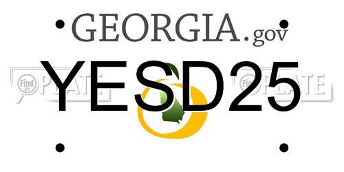 YESD25 Georgia License Plate