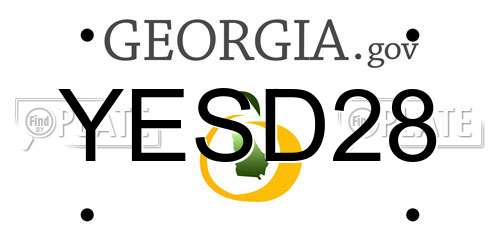 YESD28 Georgia License Plate