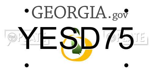 YESD75 Georgia License Plate