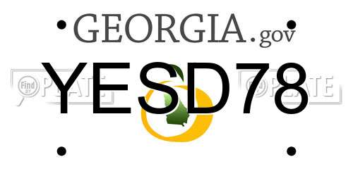 YESD78 Georgia License Plate