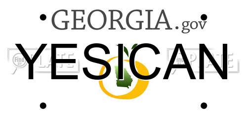YESICAN Georgia License Plate