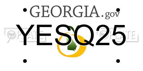 YESQ25 Georgia License Plate