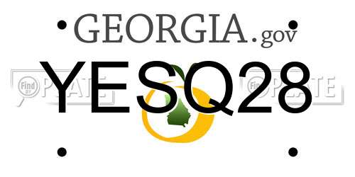 YESQ28 Georgia License Plate