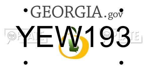 YEW193 Georgia License Plate