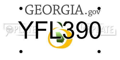 YFL390 Georgia License Plate