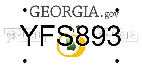 YFS893 Georgia License Plate