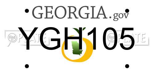 YGH105 Georgia License Plate