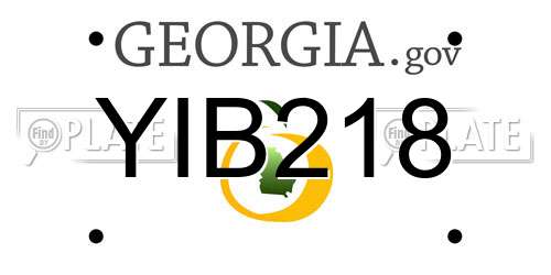 YIB218 Georgia License Plate