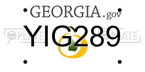 YIG289 Georgia License Plate