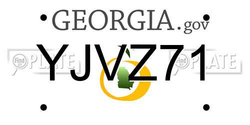 YJVZ71 Georgia License Plate