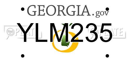YLM235 Georgia License Plate