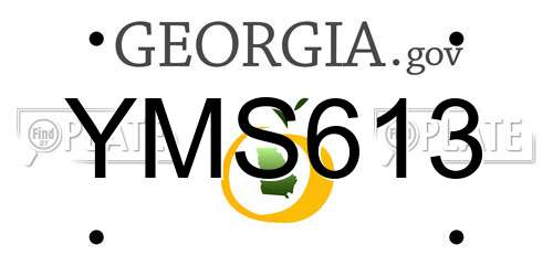 YMS613 Georgia License Plate