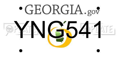 YNG541 Georgia License Plate