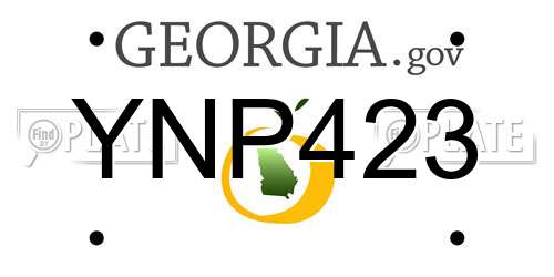 YNP423 Georgia License Plate