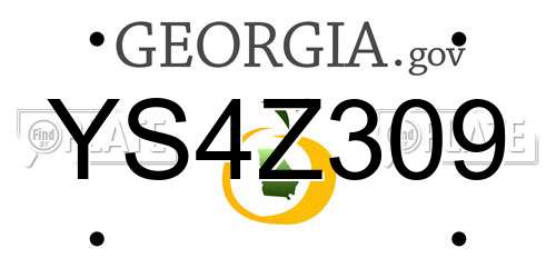 YS4Z309 Georgia License Plate