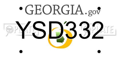 YSD332 Georgia License Plate