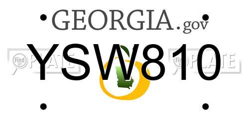 YSW810 Georgia License Plate
