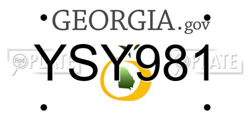 YSY981 Georgia License Plate