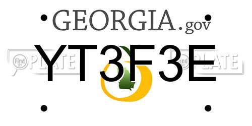 YT3F3E Georgia License Plate