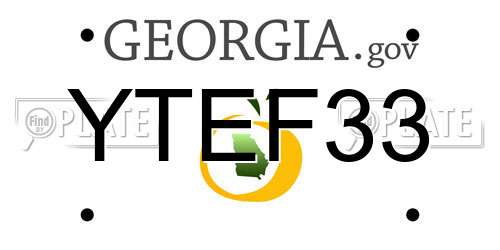 YTEF33 Georgia License Plate