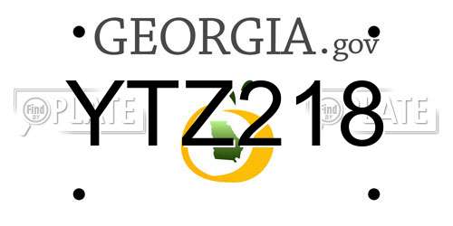 YTZ218 Georgia License Plate