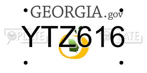 YTZ616 Georgia License Plate