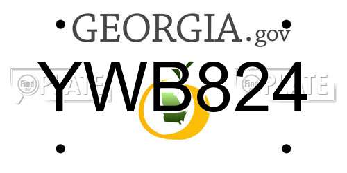 YWB824 Georgia License Plate