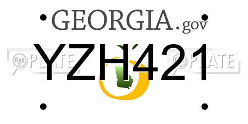 YZH421 Georgia License Plate