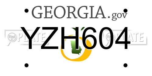 YZH604 Georgia License Plate