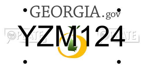 YZM124 Georgia License Plate