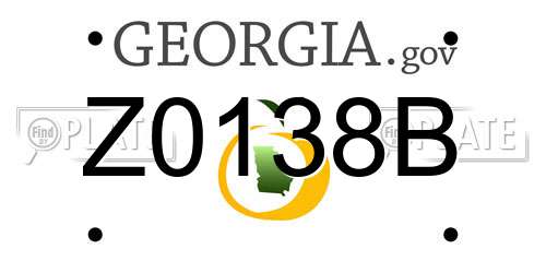 Z0138B Georgia License Plate