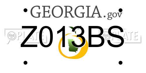Z013BS Georgia License Plate