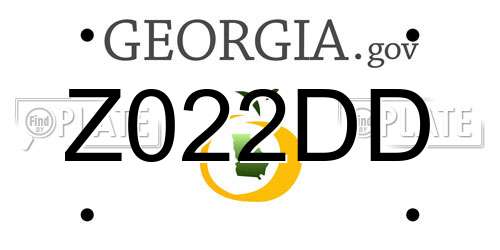 Z022DD Georgia License Plate