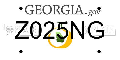 Z025NG Georgia License Plate