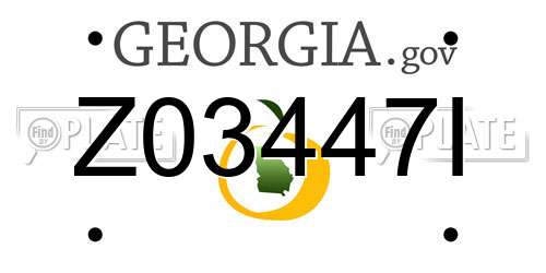 Z03447I Georgia License Plate