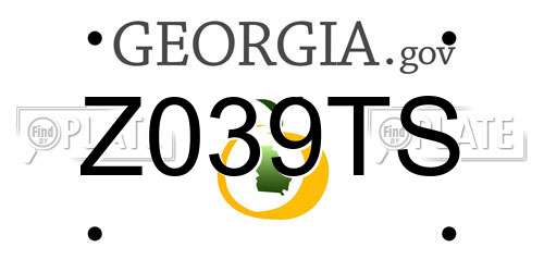 Z039TS Georgia License Plate