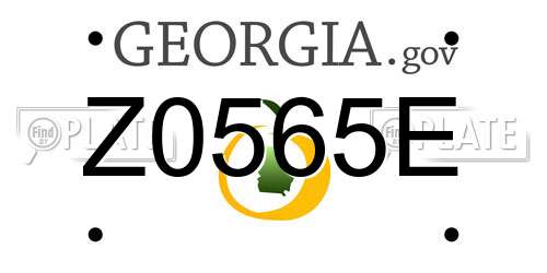 Z0565E Georgia License Plate